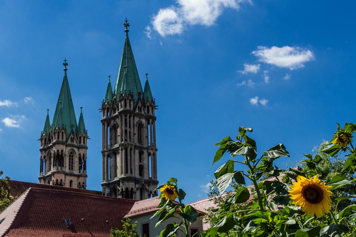 Blick auf den Dom